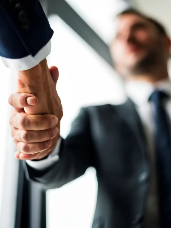 batch_handshake-business-men-concept
